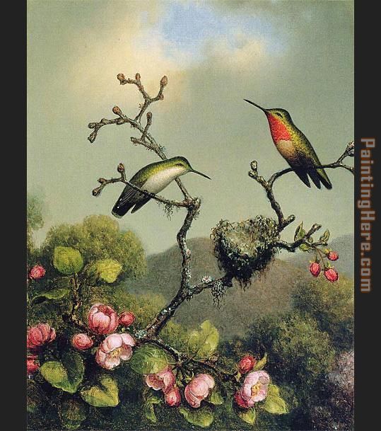 Ruby Throat of North America painting - Martin Johnson Heade Ruby Throat of North America art painting